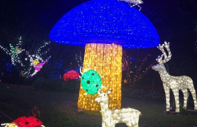 Gumnut Grove The Vintage - Foto 55