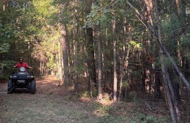 Deerwood Retreat - Foto 6