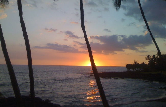 Kona Bali Kai 317 - Oceanfront 2 Bedroom Condo by RedAwning - Foto 22