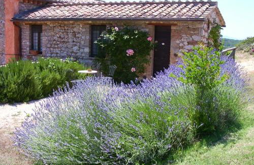 Podere Costa Romana - Foto 35