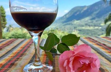 ADM chalé Chiaradia - Foto 17