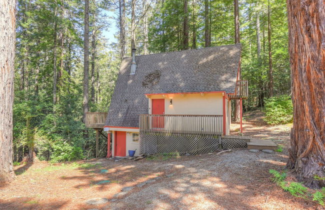 Star Nest - Photo 22