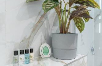 The Enchanting Silver Birch Retreat, New Forest - Foto 32