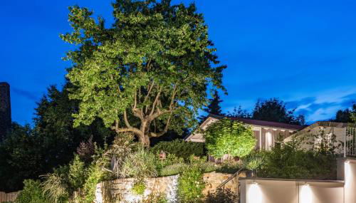 City-Appartements Am Wall - Foto 4, Garden