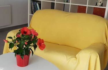 les cerisiers un havre de paix - Photo 15