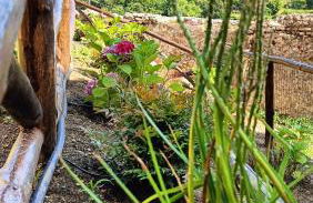 Casale Forno Vecchio - Foto 66