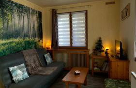 Profiter du calme de la montagne vosgienne - Foto 10