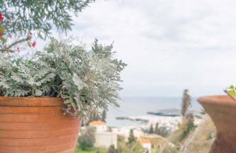 The Walnut Tree - Cycladic Getaway by Explore Andros - Photo 19