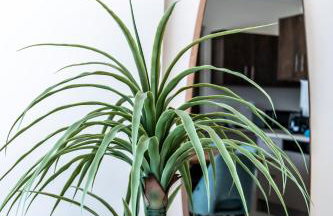 Elpida Luxury Villa, private pool, fantastic view! - Foto 28