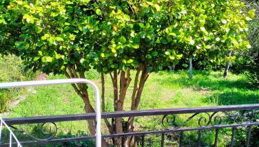 Maison individuelle padulella - Foto 2