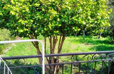 Maison individuelle padulella - Foto 2