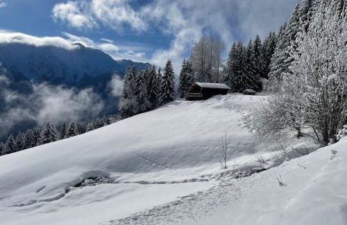 Le petit érable - Vue Mont Blanc - Foto 21