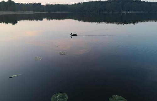 Ferienhaus Marianna am See - free Sauna, Ruderboot, Kajak & WLAN - Photo 51