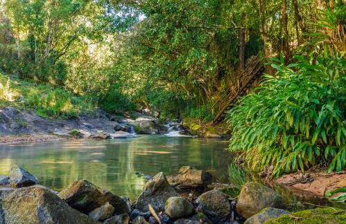 Chalé Flores e Amores - Photo 67