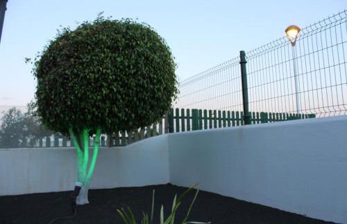 Las Mimosas - Foto 44