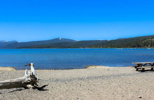 Tree-Lined Views #8 - Foto 12