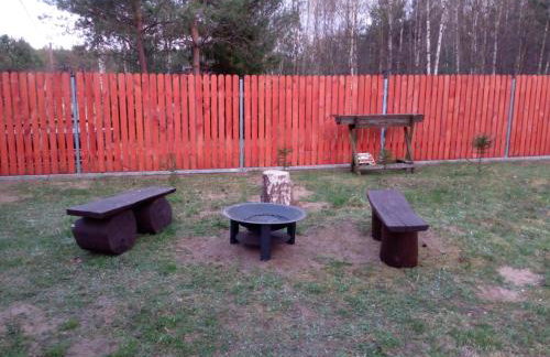 sosnowelowe - Foto 56