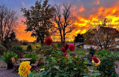 ALTE SCHULE WITTENBERG, 3 Ferienwohnungen für bis zu 12 Personen, an der Elbe, mit Garten - Foto 38