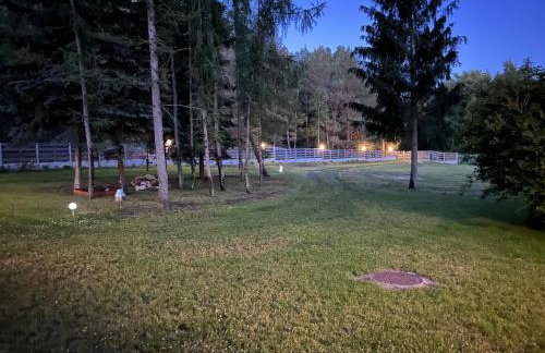 Agroturystyka PLENER - Foto 21