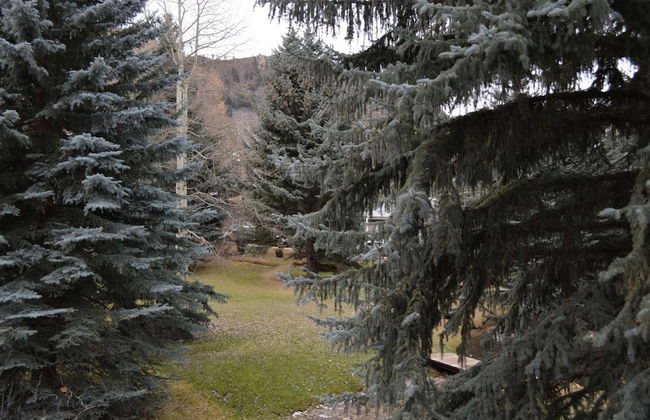 Little Nell Condos by iTrip Aspen Snowmass - Foto 80