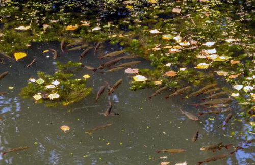 Water Hideout - Floating Luxury in Pure Wilderness - Foto 45