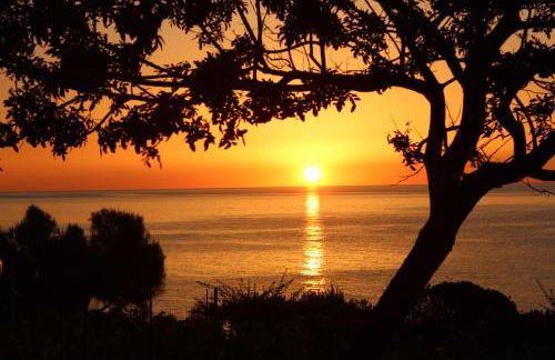 La PAVONCELLA 2 - Foto 20