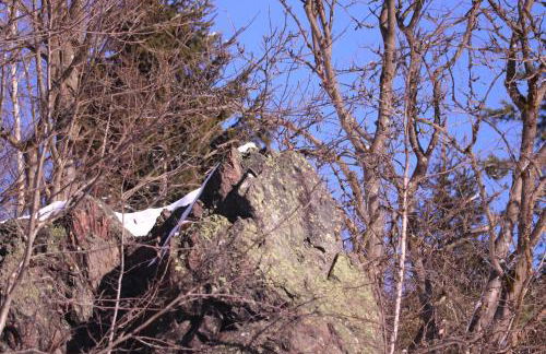 Familienferienhaus "Zur Alten Wäscherei" - Foto 50