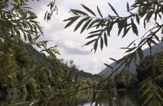 L’Angolino di MAGDA: on the lake-PRIVATE beach! - Foto 18