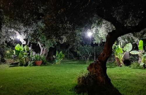 Elia Guesthouse - Kissamos - Foto 11