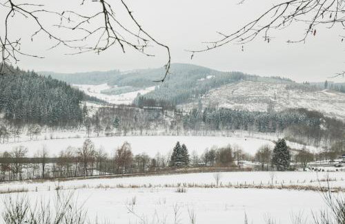 Appartement Mountain Escape 66 - Comfort & Uitzicht | Am Bergelchen 66 Niedersfeld Winterberg - Foto 20