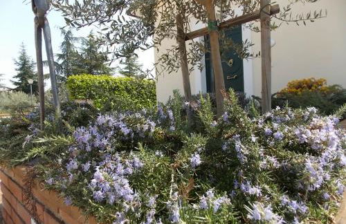 Residence Terra Dei Santi Country House - Foto 64