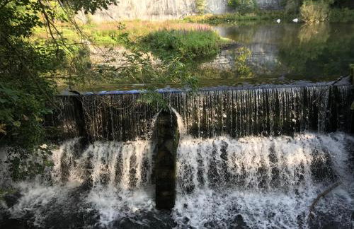 The Lodge - Photo 35