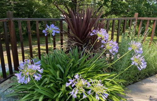 Gîte les chênes verts - Périgord noir proche grottes de Lascaux - Foto 38