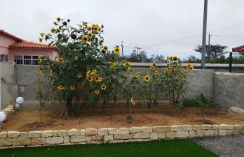 Moradia Girassol Porto Santo - Foto 4