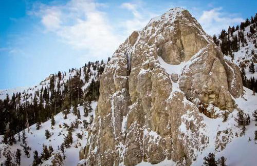 Mammoth Green 101 - Foto 79