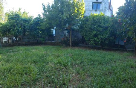 Kitharida garden - Foto 8