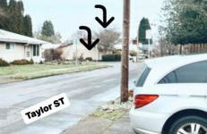 OSU Pet Perfect in PNW - Foto 28