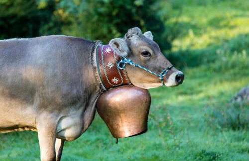 Ferienwohnung Bergnah - Foto 30