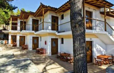 The Pine Trees - Foto 1