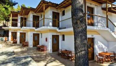 The Pine Trees - Foto 1