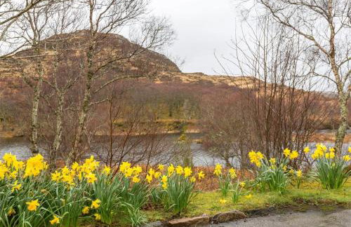 6 Bed in Lairg oc-ca210 - Foto 35