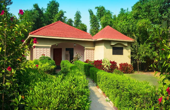 Olive Resorts & Villas - Foto 7