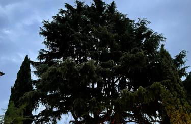 Villa Caffetto Dépendance nei pressi del Lago di Garda - Foto 23