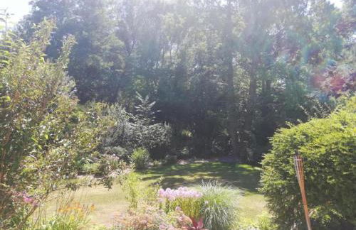 Ferienhaus in Tannesberg for 4 Personen - Foto 49