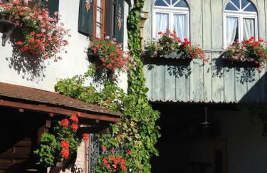 Maison cosy à Kientzheim + Parking - Foto 16