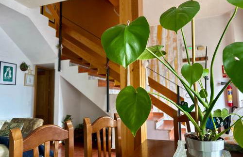 Espejo del Tiétar - La comodidad de baños en suite - Foto 43