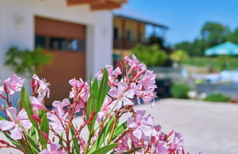 Ferienwohnung Stadtplatz 28 Tittmoning Burghausen Salzburg Familie - Foto 3