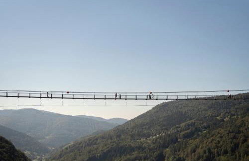 Schwarzwaldglück Loft - Foto 39