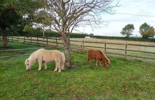 Crown Cabin Wiltshire near Longleat and Bath - Foto 14