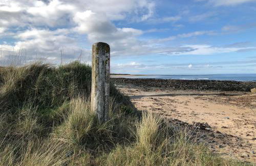 Cotton Shore - Foto 20